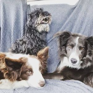 Meet your Posher, Anna